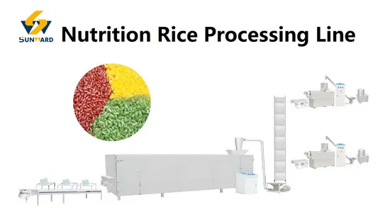 Máquina para hacer arroz Línea de producción de extrusora de doble tornillo de cereales de arroz fortificado artificial